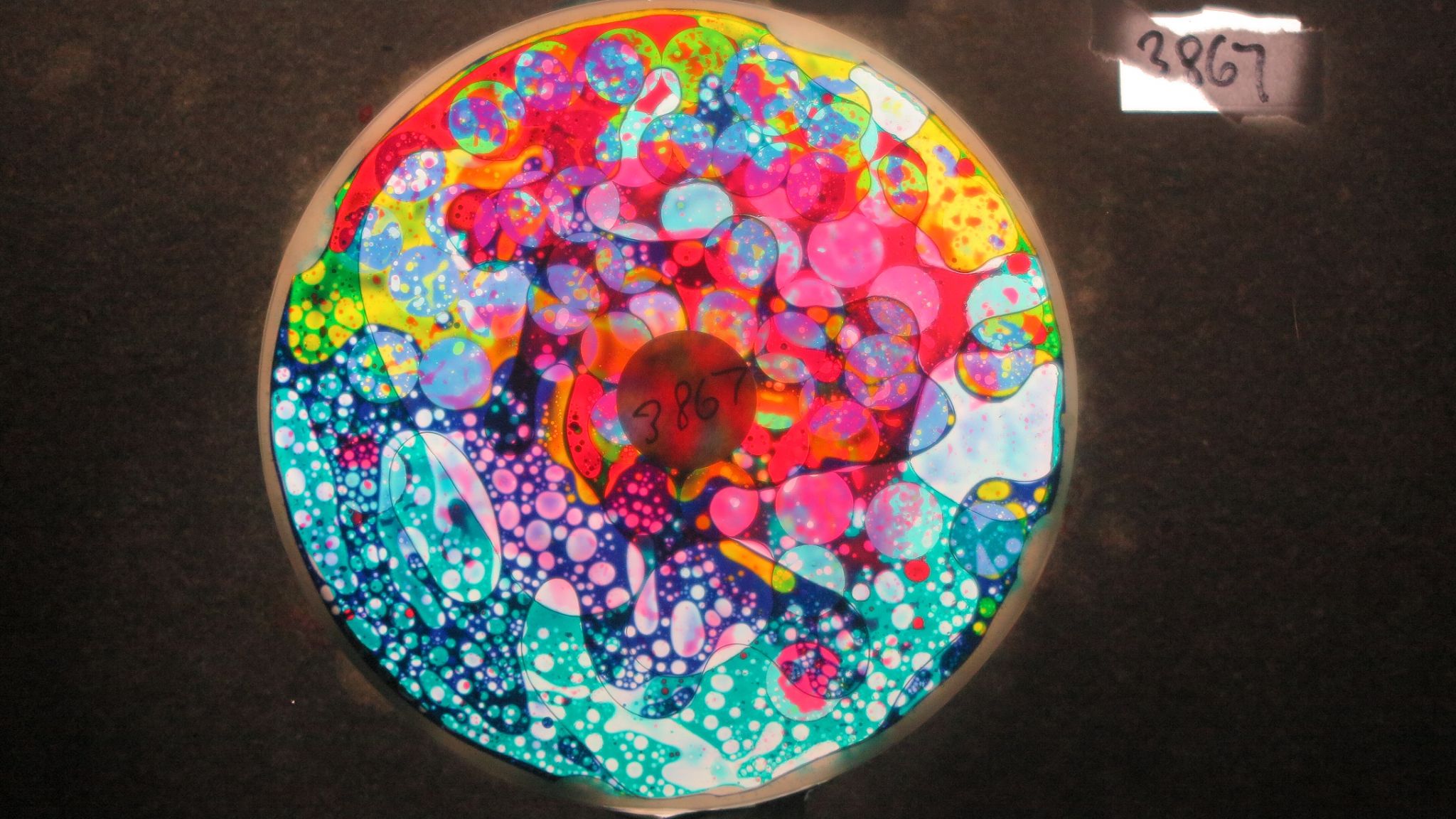 BV3869 bubble vision oil wheel